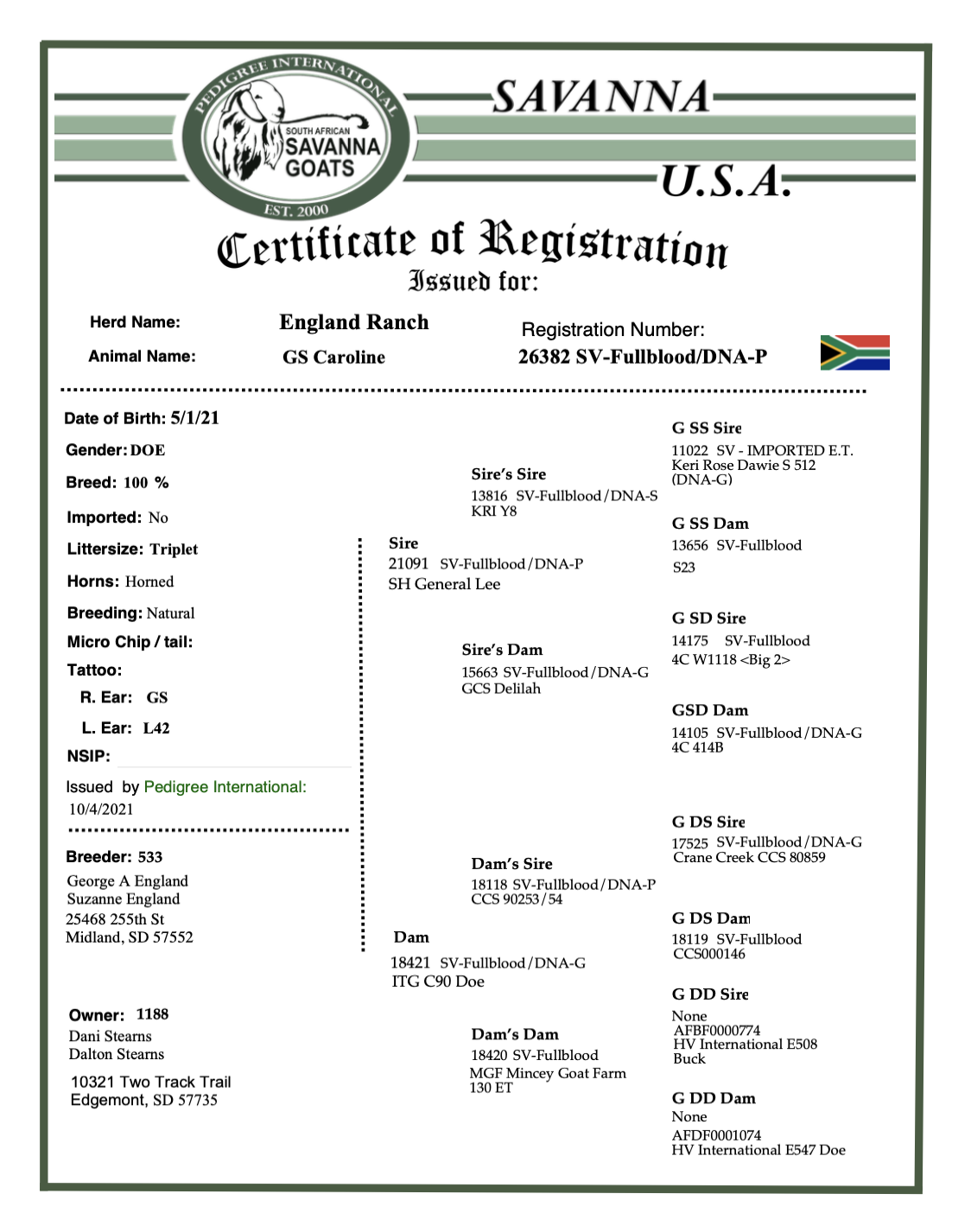 Screenshot 2025-07-07 at 10.22.52 AM